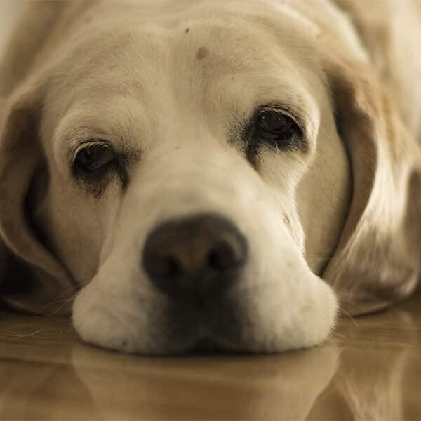 If you’re bored, it’s really your own fault