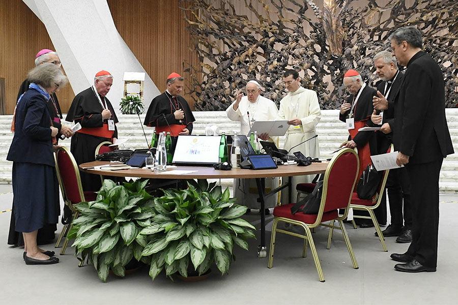 Synod Synthesis Shows Agreement, Divergences, Including On 'synodality ...