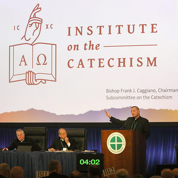 U.S. bishops move forward with Institute on the Catechism