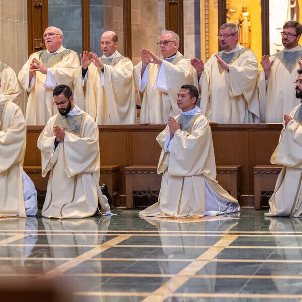 A scoop of vocations with your PIE