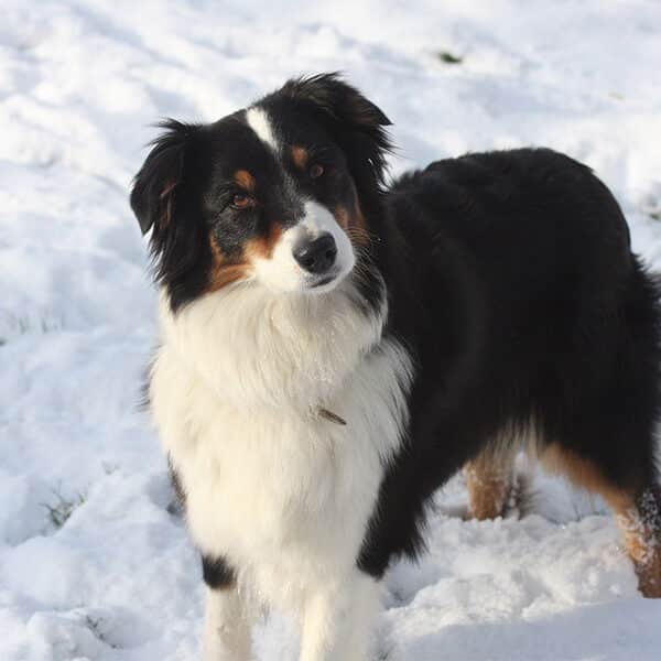 Detachment as a component of God’s peace