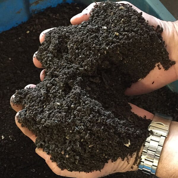 Make a resolution for the climate, for the sanctity of life