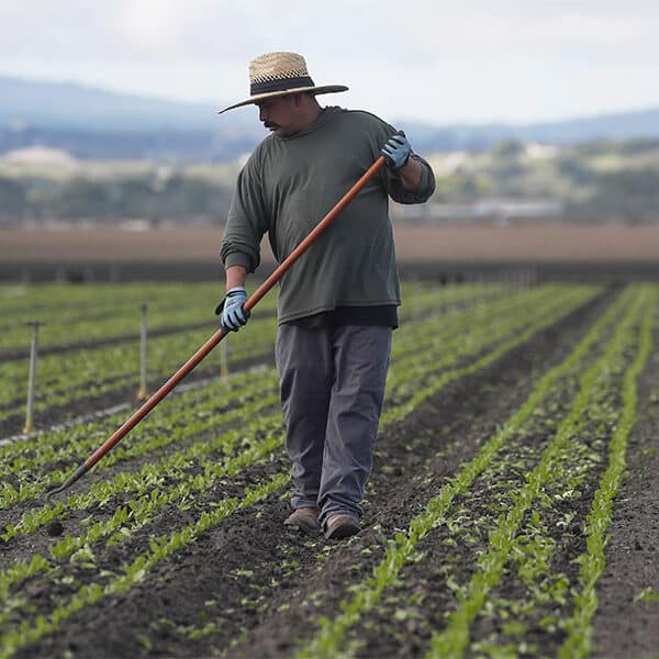 Compromise: An Essential Element of Politics