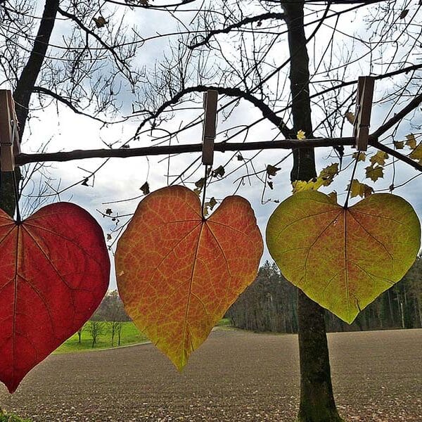 The greatest New Year’s challenge: Letting go