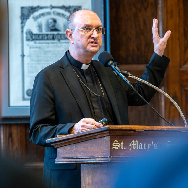 Draft modeling process for future of parishes in the city begins