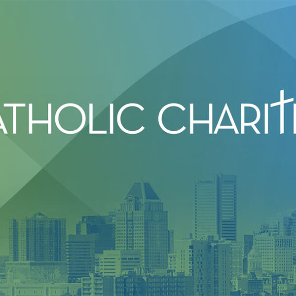 Catholic Charities adds new board members