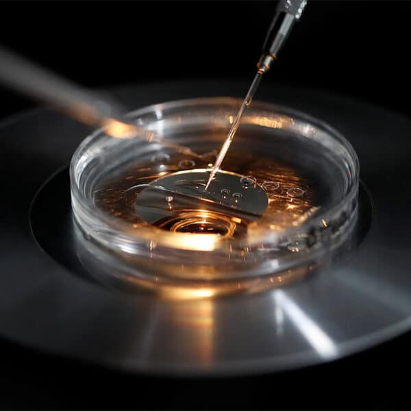 Q&A: Why does the church oppose IVF? What can be done about frozen embryos?