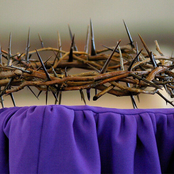 This Lent, say sorry — and mean it