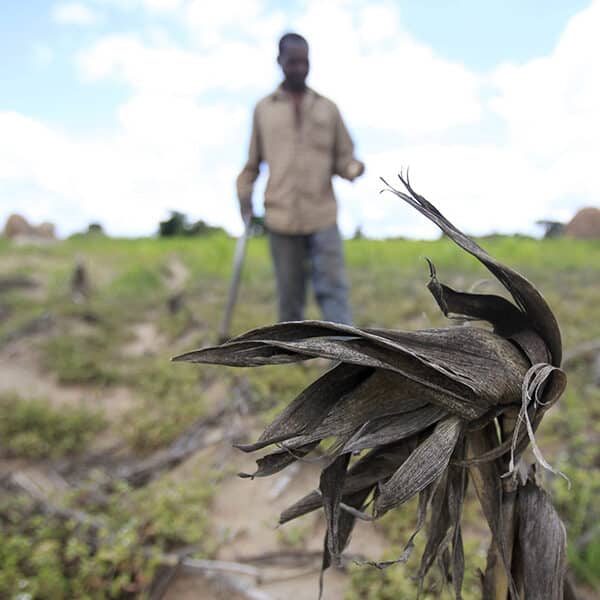 Catholic, Christian groups share faith-driven plan for ‘climate adaptation’ with Congress