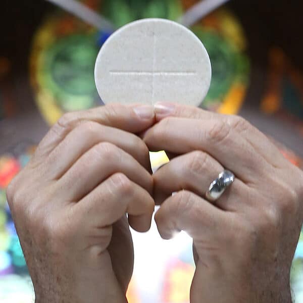 ‘Bread from heaven’ shows the goodness of creation