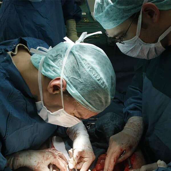 Catholic bioethicists: Lack of agreement about brain death imperils patients, organ donations