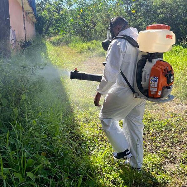 Church in Puerto Rico calls for co-responsibility in the face of dengue epidemic