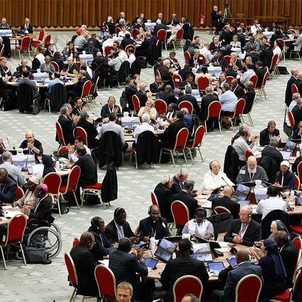 Synod study groups release ‘interim’ reports as most continue working