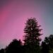 Northern Lights in the sky outside Baltimore on Oct. 10, 2024