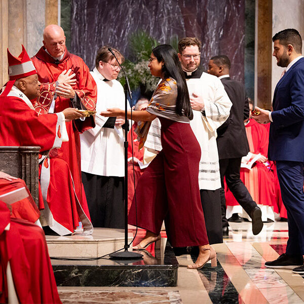 Holy Spirit’s gifts can guide the work of law, homilist says at annual Red Mass