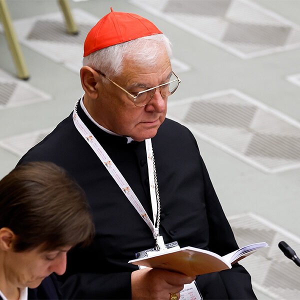 Cardinal questions ‘canonical status’ of synod because so many non-bishops are participating