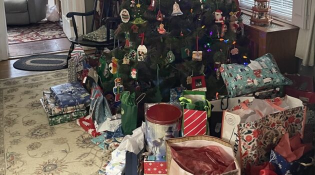 Wrapped gifts sit under a Christmas tree