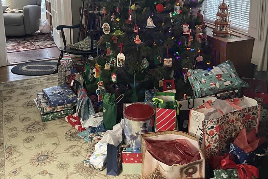 Wrapped gifts sit under a Christmas tree