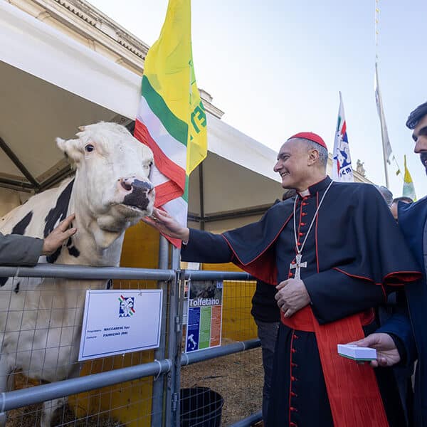 Cardinal blesses livestock and pets at Vatican celebration