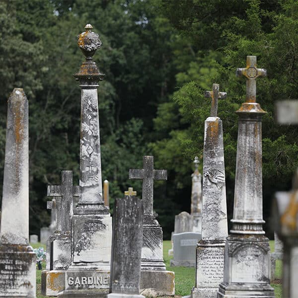 Holiday message of ‘The Loved One’