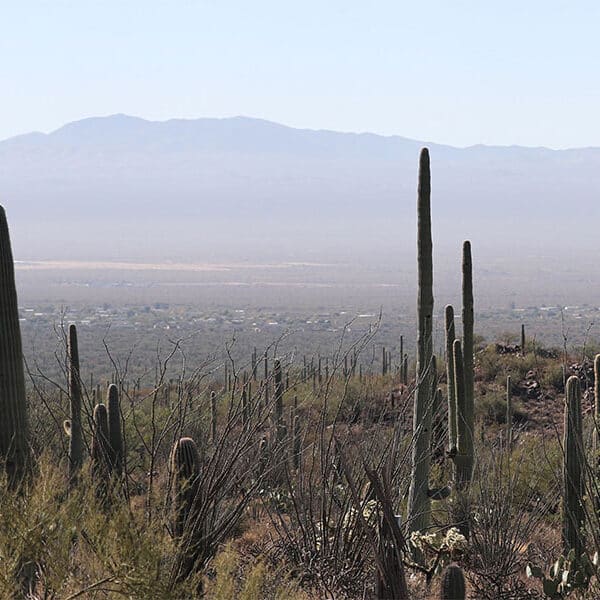 Reviving monasticism