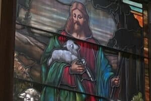 Stained glass window showing Jesus as the Good Shepherd, holding a lamb