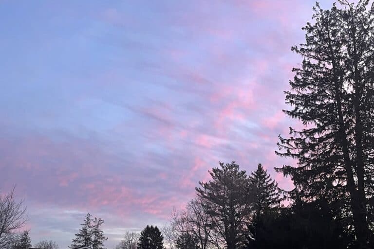 Morning sky with purples and blues and pinks
