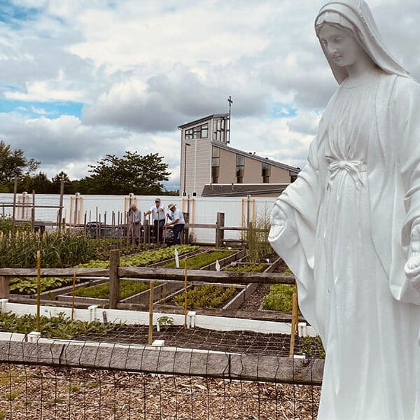 Delaware garden of plenty provides food to needy, thanks to Vincentians, parishes