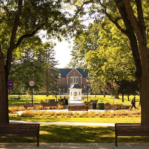 Can’t afford a Catholic college? Think again. Many offer full tuition options