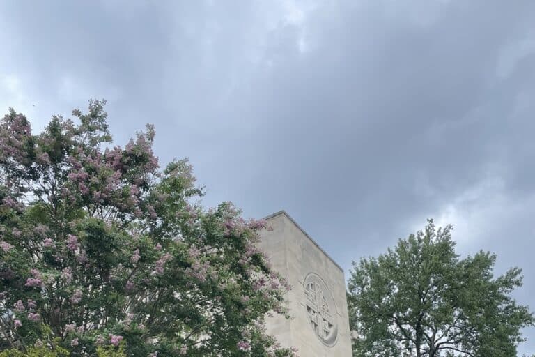 Gray cloudy sky above a church and flowering trees