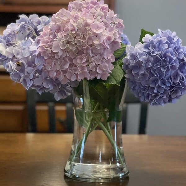 Farewell to a beautiful summer