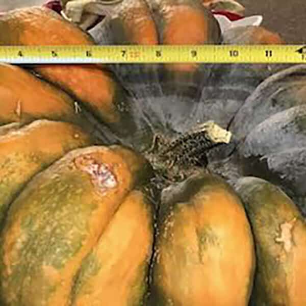 Planting and reaping 