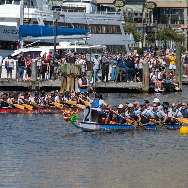 Dragons race, crowds cheer at Catholic Charities fundraiser