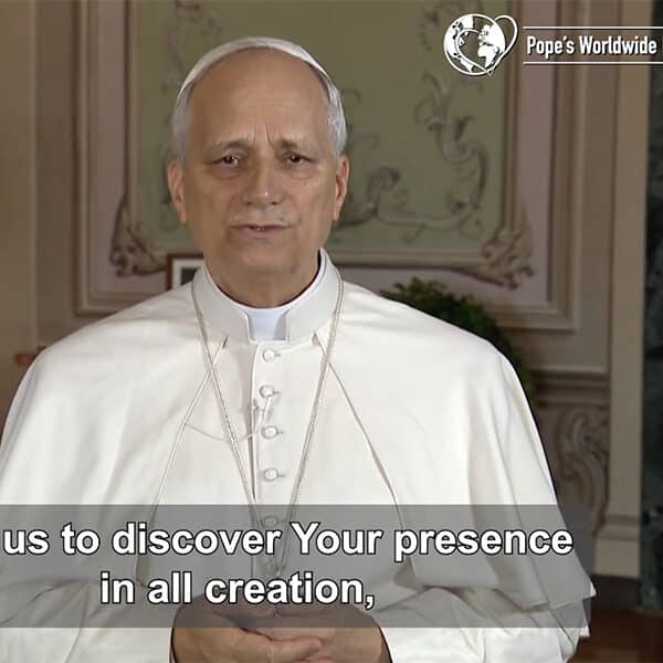 Pope’s prayer for September: Respecting, protecting God’s creation