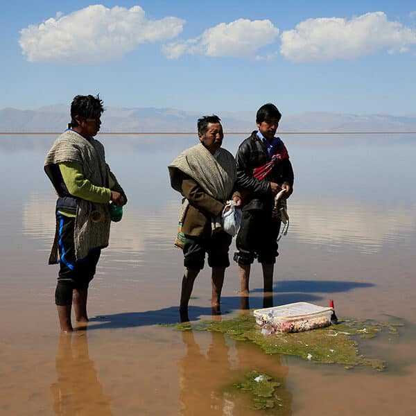 Tackle ecological debt, protect biodiversity and change hearts, says Vatican diplomat