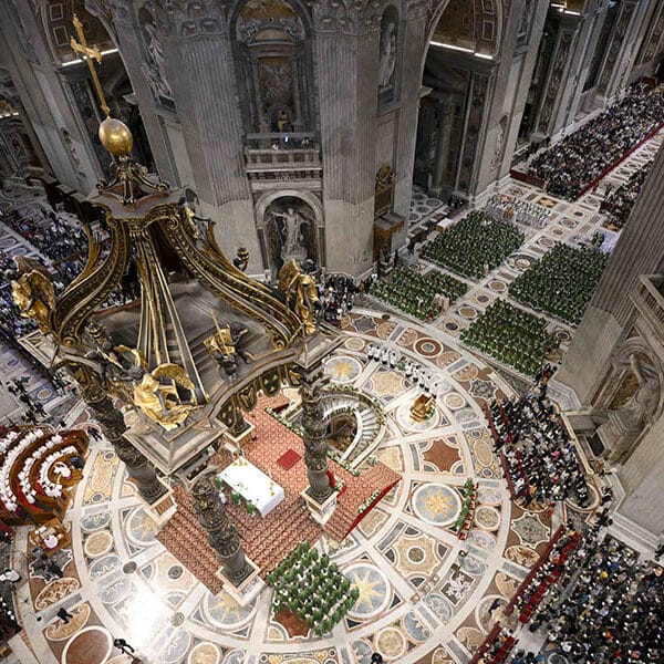 Reflections on the synodal journey