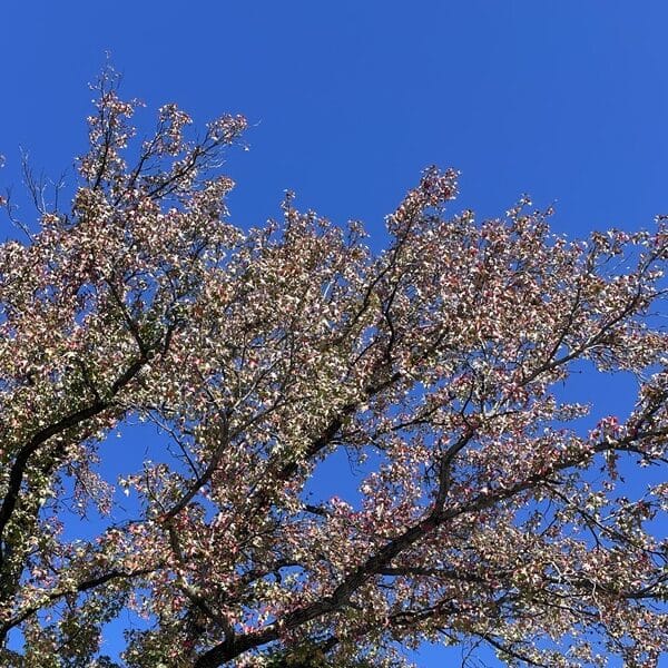 What makes us leave, what helps us stay