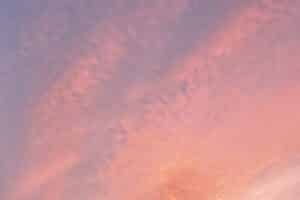 Streaks of pink and purple clouds in a sunrise sky