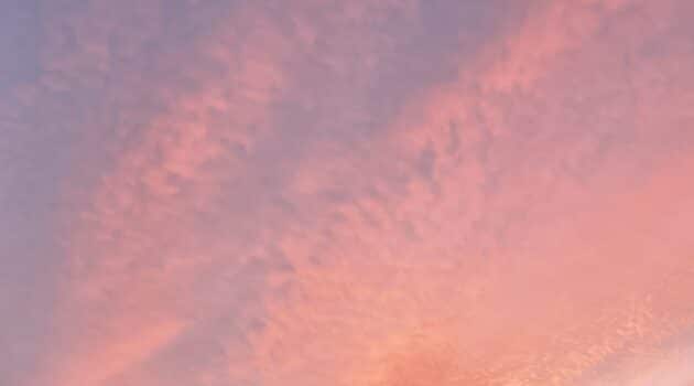 Streaks of pink and purple clouds in a sunrise sky