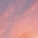 Streaks of pink and purple clouds in a sunrise sky