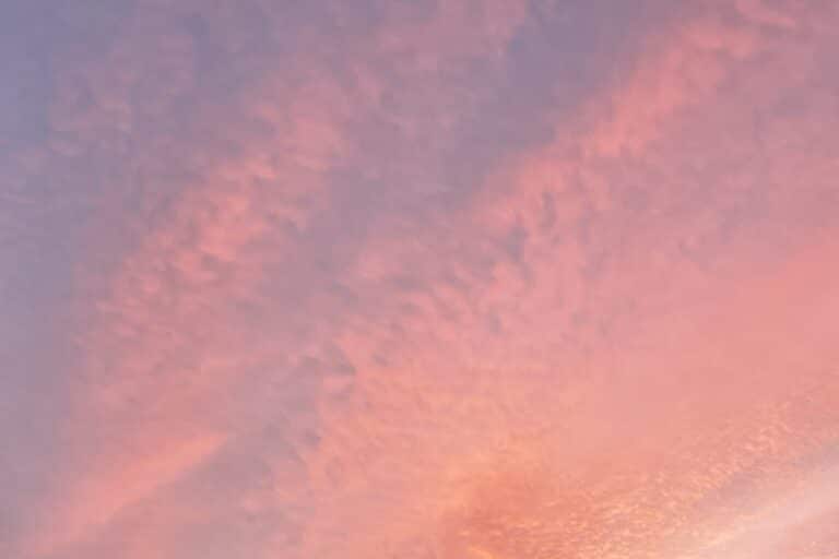 Streaks of pink and purple clouds in a sunrise sky