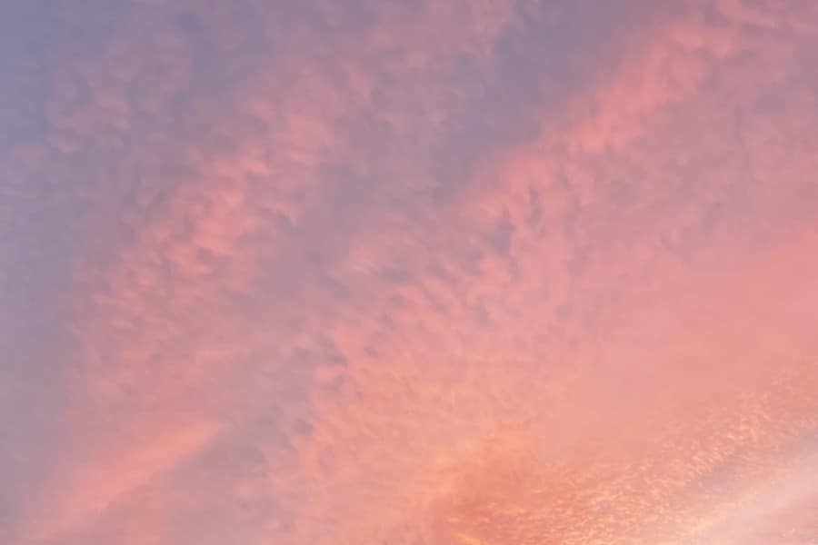 Streaks of pink and purple clouds in a sunrise sky