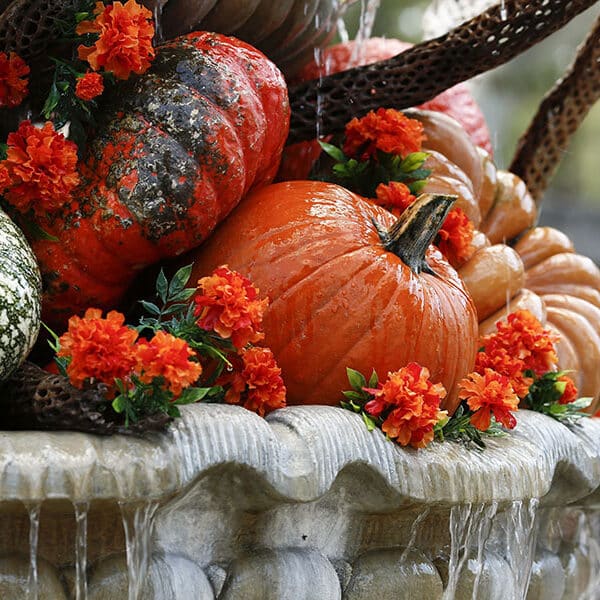 The Catholic roots of ‘pumpkin spice,’ and the saint who first sprinkled the blend with joy