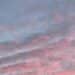 Pink streaks across a pale blue ksy at sunrise