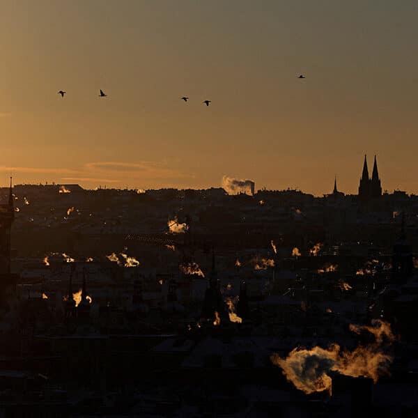 Worry vs. divine providence