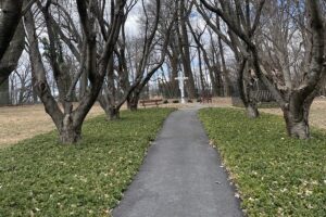 A path stretches ahead between trees toward a white cross