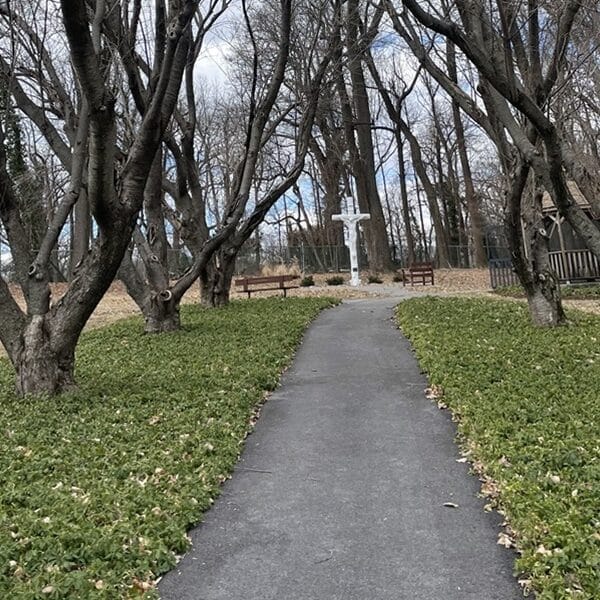 Today is a good day to begin again