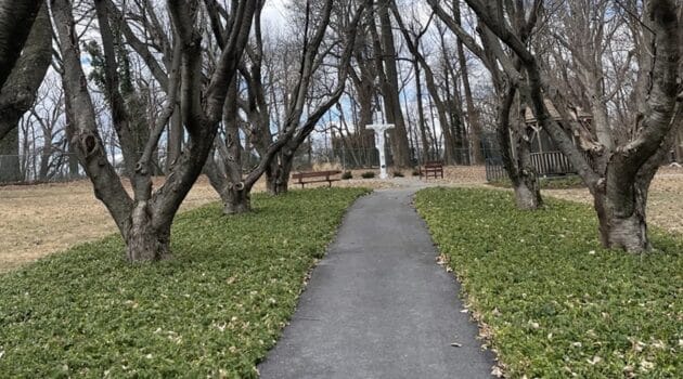 A path stretches ahead between trees toward a white cross