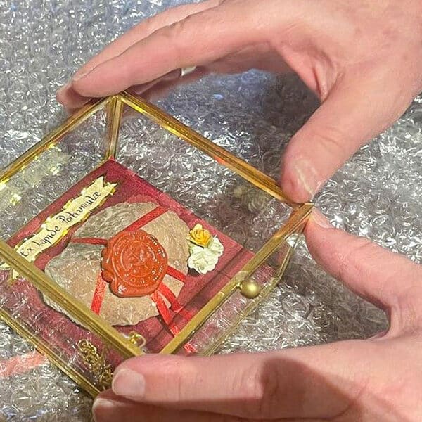Assisi relic arrives in Southern Arabian vicariate