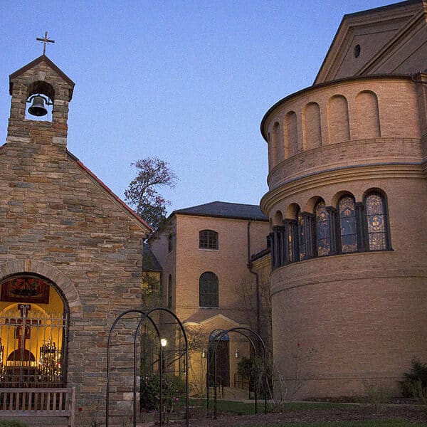 What can the Year of St. Francis do for the world? A lot, say these Franciscans